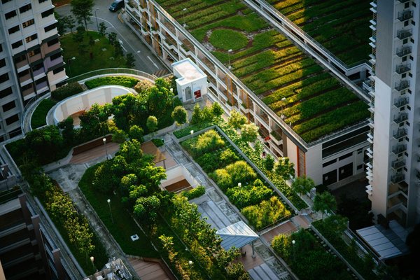 How does green infrastructure contribute to disaster resilience and recovery in urban areas?